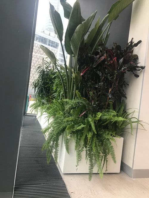 image_0