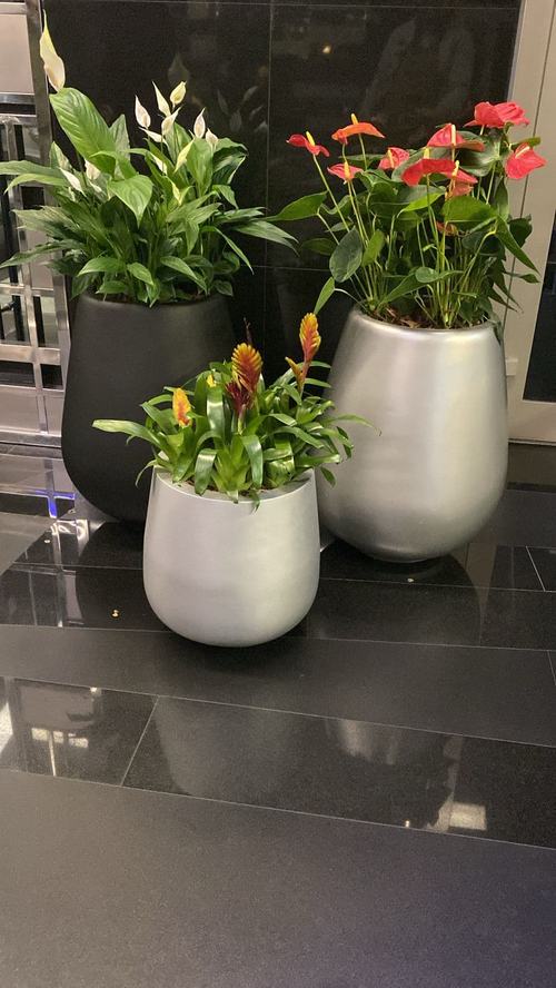 image_1